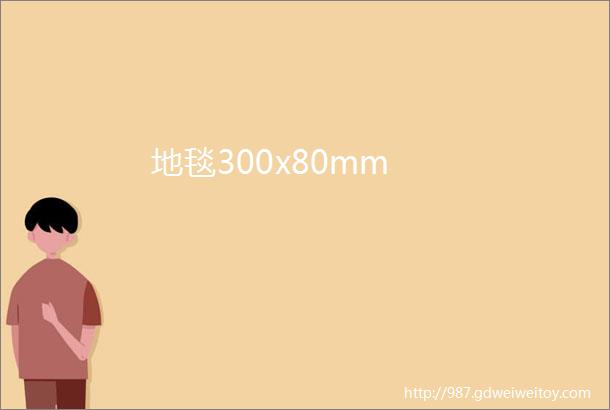 地毯300x80mm